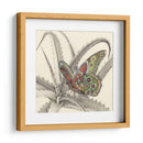 Majestuosa Mariposa Iii - Georges Cuvier | Cuadro decorativo de Canvas Lab