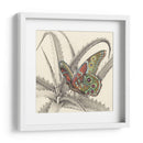 Majestuosa Mariposa Iii - Georges Cuvier | Cuadro decorativo de Canvas Lab