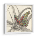 Majestuosa Mariposa Iii - Georges Cuvier | Cuadro decorativo de Canvas Lab