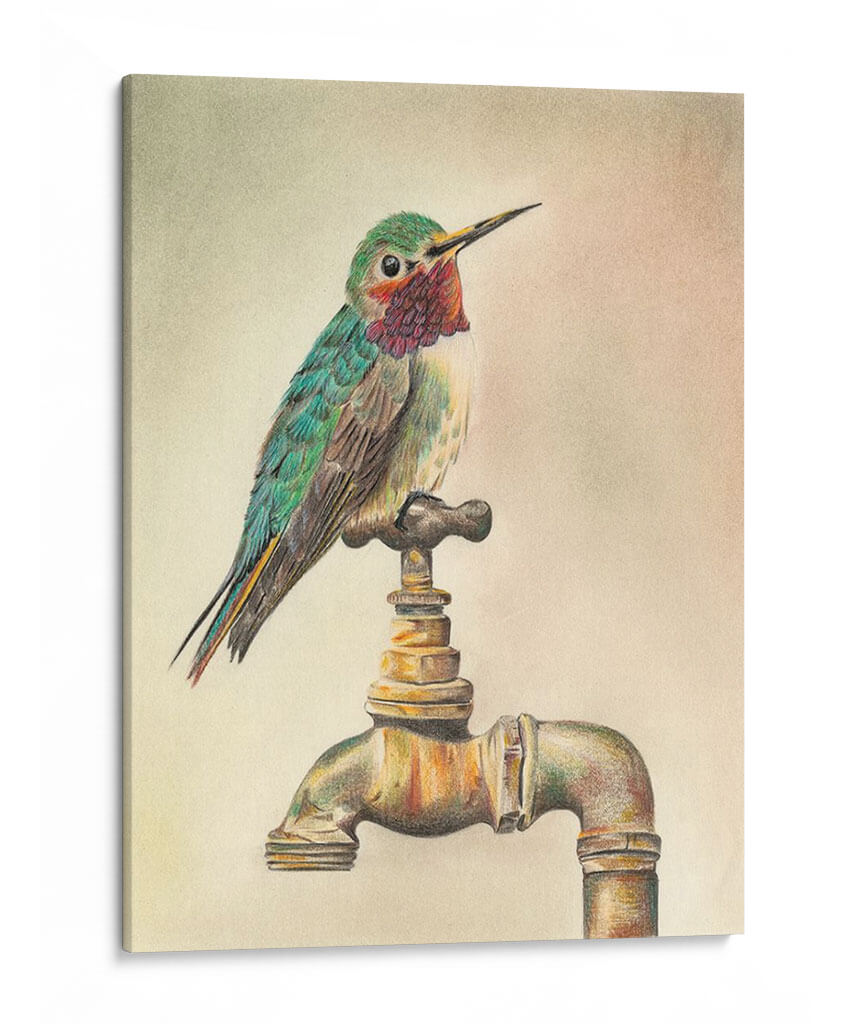 Glory Bird I - Georges Cuvier | Cuadro decorativo de Canvas Lab