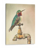 Glory Bird I - Georges Cuvier | Cuadro decorativo de Canvas Lab