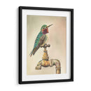 Glory Bird I - Georges Cuvier | Cuadro decorativo de Canvas Lab