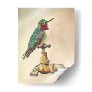 Glory Bird I - Georges Cuvier | Cuadro decorativo de Canvas Lab