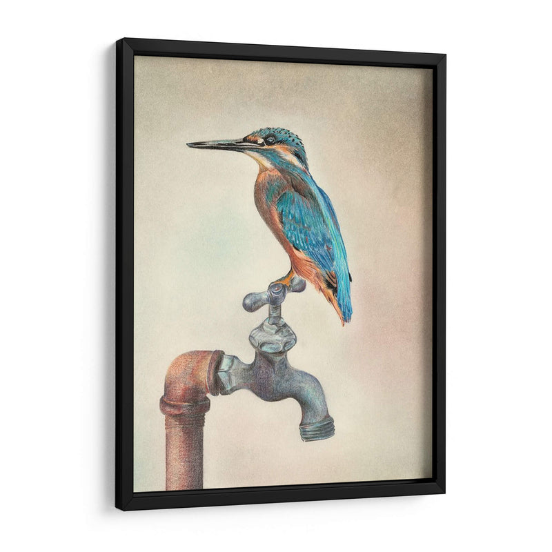 Glory Bird Iii - Georges Cuvier | Cuadro decorativo de Canvas Lab