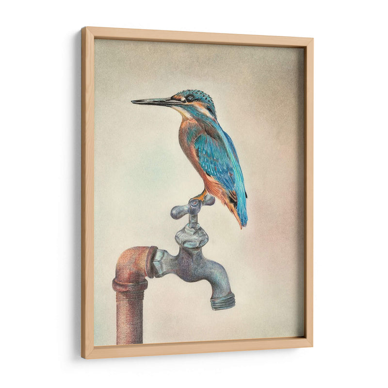 Glory Bird Iii - Georges Cuvier | Cuadro decorativo de Canvas Lab