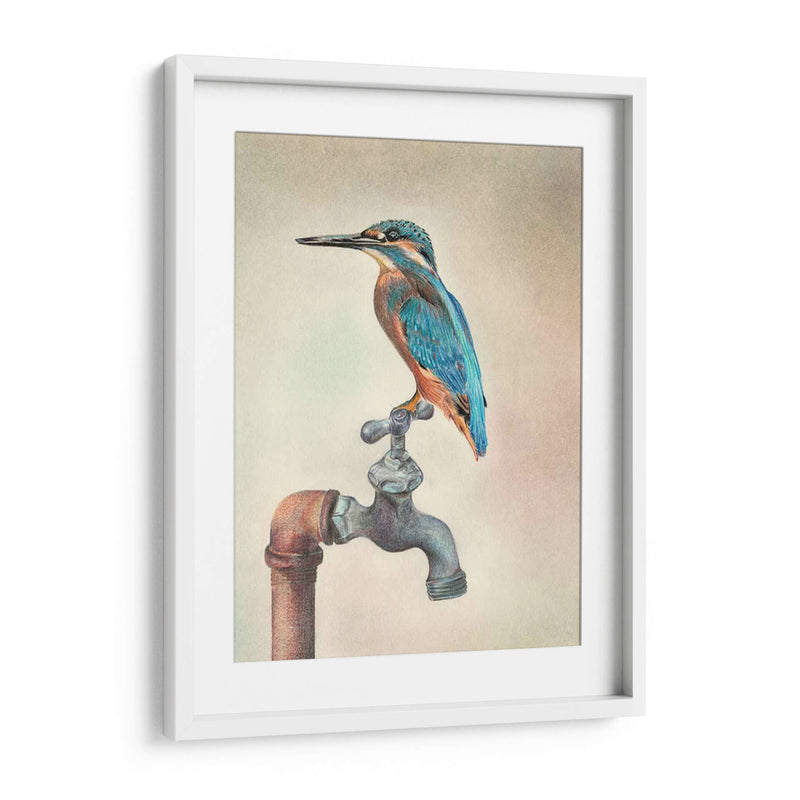 Glory Bird Iii - Georges Cuvier | Cuadro decorativo de Canvas Lab