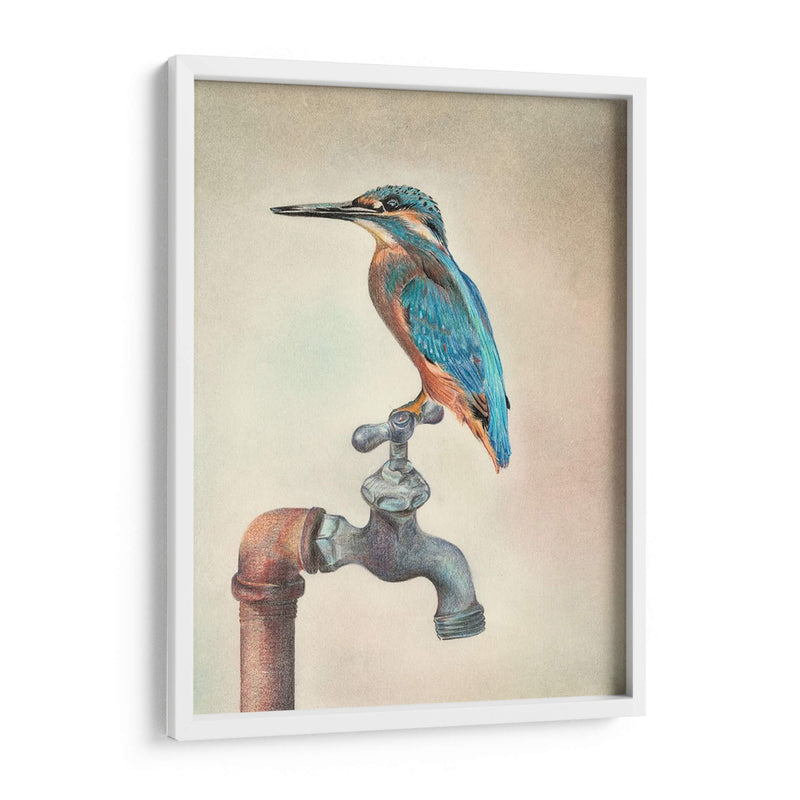 Glory Bird Iii - Georges Cuvier | Cuadro decorativo de Canvas Lab