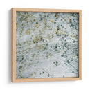 Transición Estacional Ii - Sharon Chandler | Cuadro decorativo de Canvas Lab