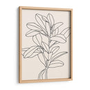 Contorno De La Rama De Oliva Ii - Emma Scarvey | Cuadro decorativo de Canvas Lab