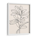 Contorno De La Rama De Oliva Ii - Emma Scarvey | Cuadro decorativo de Canvas Lab