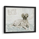 Estudio De Perro I - A.C. Warren | Cuadro decorativo de Canvas Lab