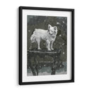 Estudio De Perro Iii - A.C. Warren | Cuadro decorativo de Canvas Lab