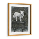 Estudio De Perro Iii - A.C. Warren | Cuadro decorativo de Canvas Lab