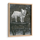 Estudio De Perro Iii - A.C. Warren | Cuadro decorativo de Canvas Lab