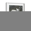 Estudio De Perro Iii - A.C. Warren | Cuadro decorativo de Canvas Lab