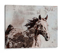 Ganador Horse Ii - Irena Orlov | Cuadro decorativo de Canvas Lab