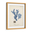 Coral Antiguo En La Marina I - Johann Esper | Cuadro decorativo de Canvas Lab