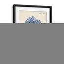 Coral Antiguo En La Marina Iii - Johann Esper | Cuadro decorativo de Canvas Lab