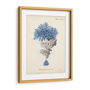 Coral Antiguo En La Marina Iii - Johann Esper | Cuadro decorativo de Canvas Lab