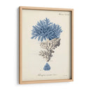 Coral Antiguo En La Marina Iii - Johann Esper | Cuadro decorativo de Canvas Lab