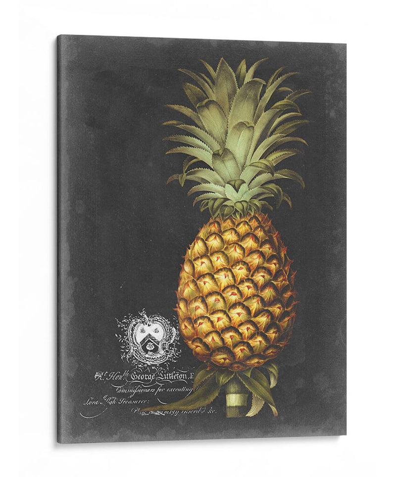 Royal Brookshaw Piña I - George Brookshaw | Cuadro decorativo de Canvas Lab