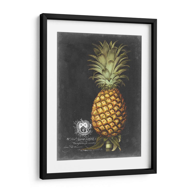 Royal Brookshaw Piña I - George Brookshaw | Cuadro decorativo de Canvas Lab