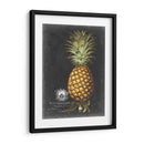 Royal Brookshaw Piña I - George Brookshaw | Cuadro decorativo de Canvas Lab