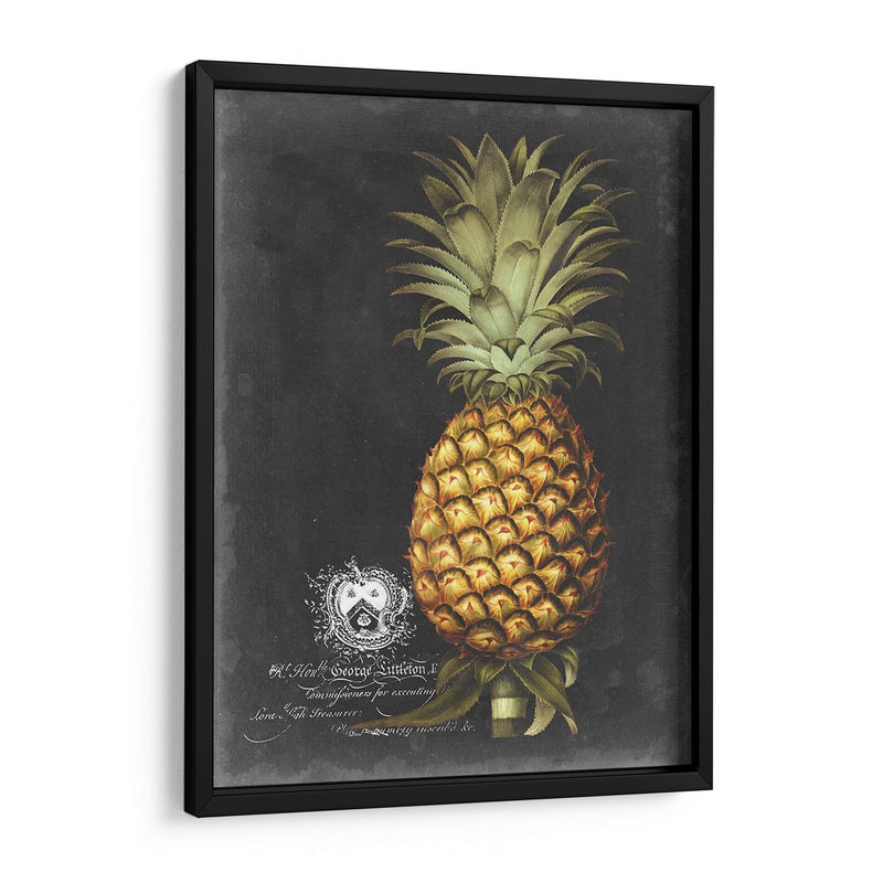 Royal Brookshaw Piña I - George Brookshaw | Cuadro decorativo de Canvas Lab