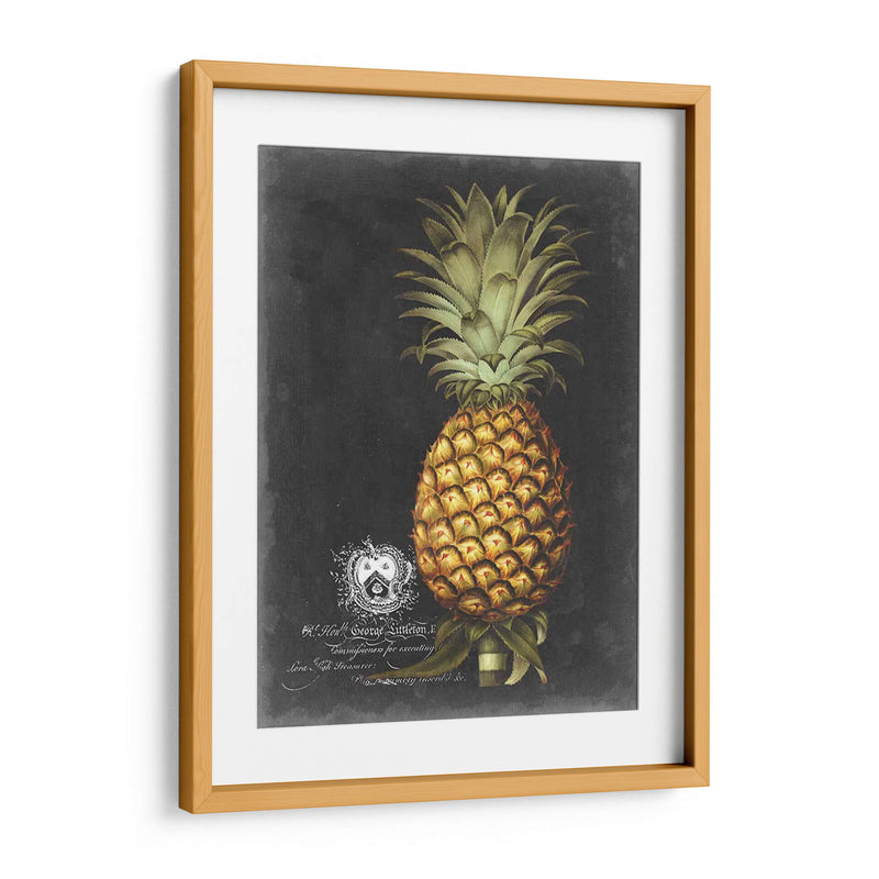 Royal Brookshaw Piña I - George Brookshaw | Cuadro decorativo de Canvas Lab