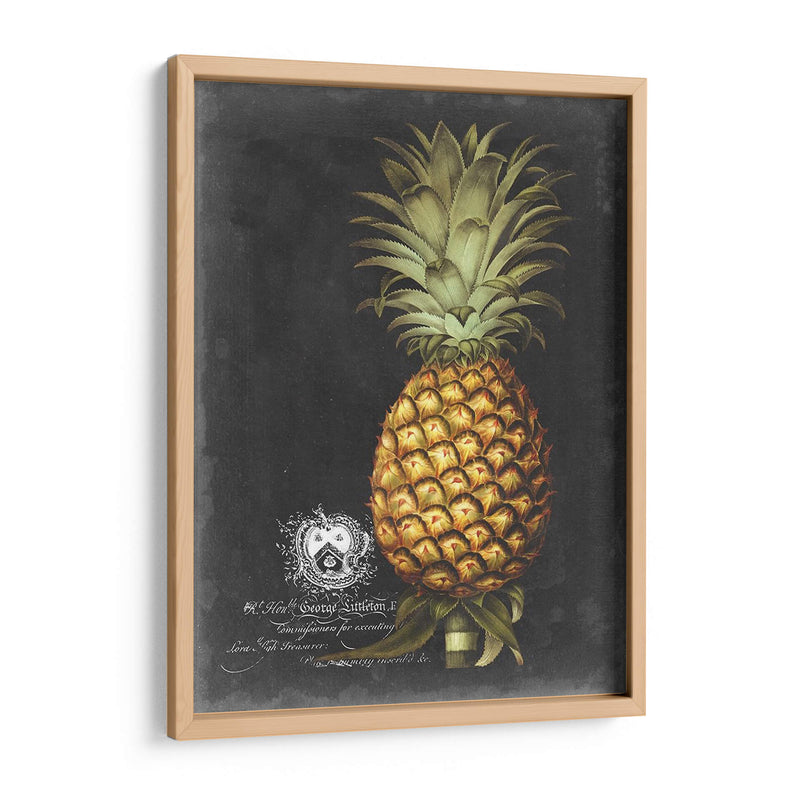 Royal Brookshaw Piña I - George Brookshaw | Cuadro decorativo de Canvas Lab