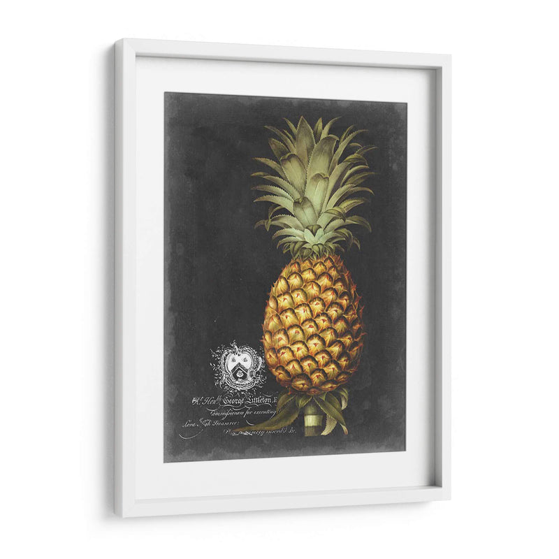 Royal Brookshaw Piña I - George Brookshaw | Cuadro decorativo de Canvas Lab