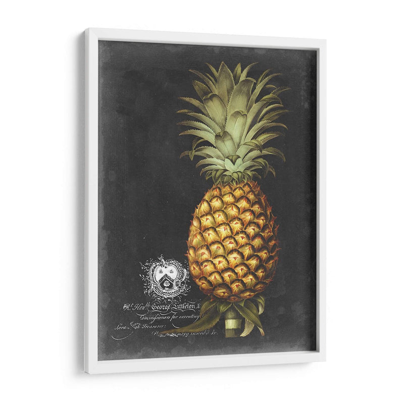 Royal Brookshaw Piña I - George Brookshaw | Cuadro decorativo de Canvas Lab