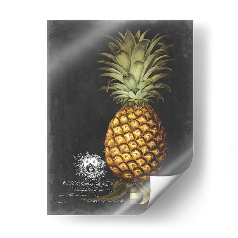 Royal Brookshaw Piña I - George Brookshaw | Cuadro decorativo de Canvas Lab