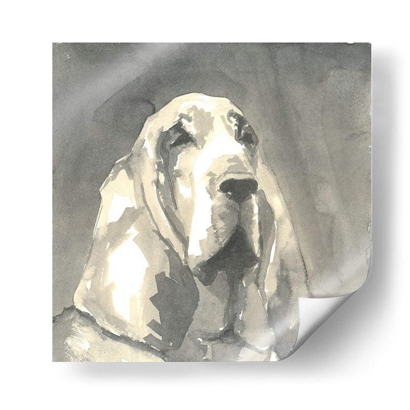 Sepia Modern Dog Ii - Nick Dautlich | Cuadro decorativo de Canvas Lab