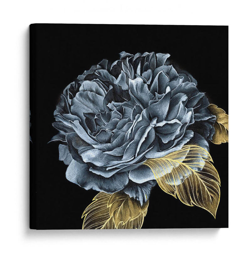 Rover Roses I - Georges Cuvier | Cuadro decorativo de Canvas Lab