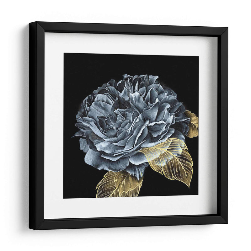 Rover Roses I - Georges Cuvier | Cuadro decorativo de Canvas Lab