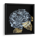 Rover Roses I - Georges Cuvier | Cuadro decorativo de Canvas Lab