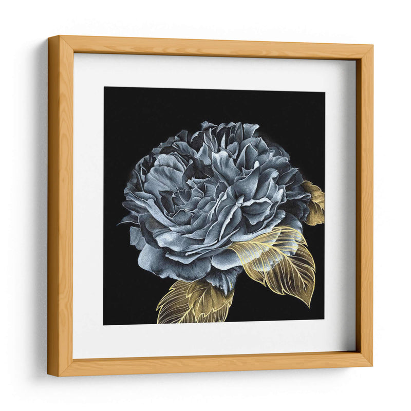 Rover Roses I - Georges Cuvier | Cuadro decorativo de Canvas Lab