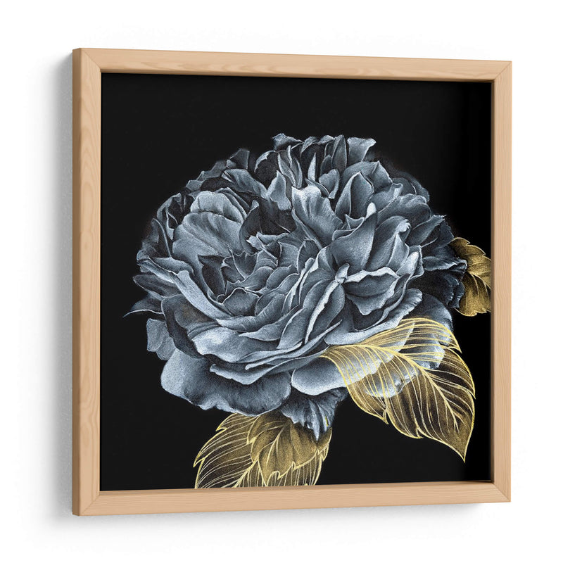 Rover Roses I - Georges Cuvier | Cuadro decorativo de Canvas Lab