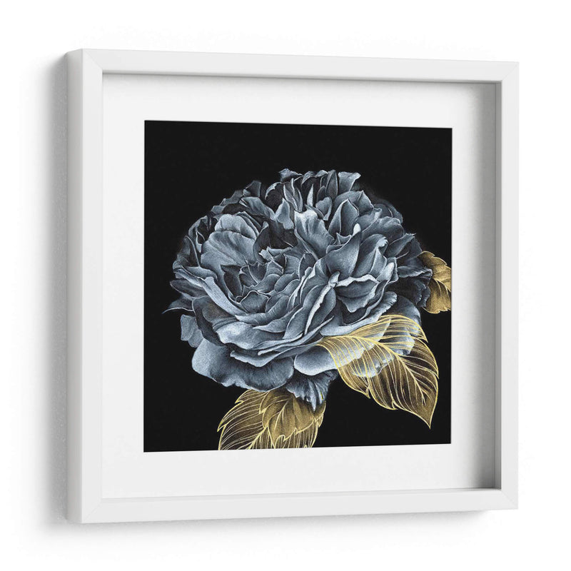 Rover Roses I - Georges Cuvier | Cuadro decorativo de Canvas Lab