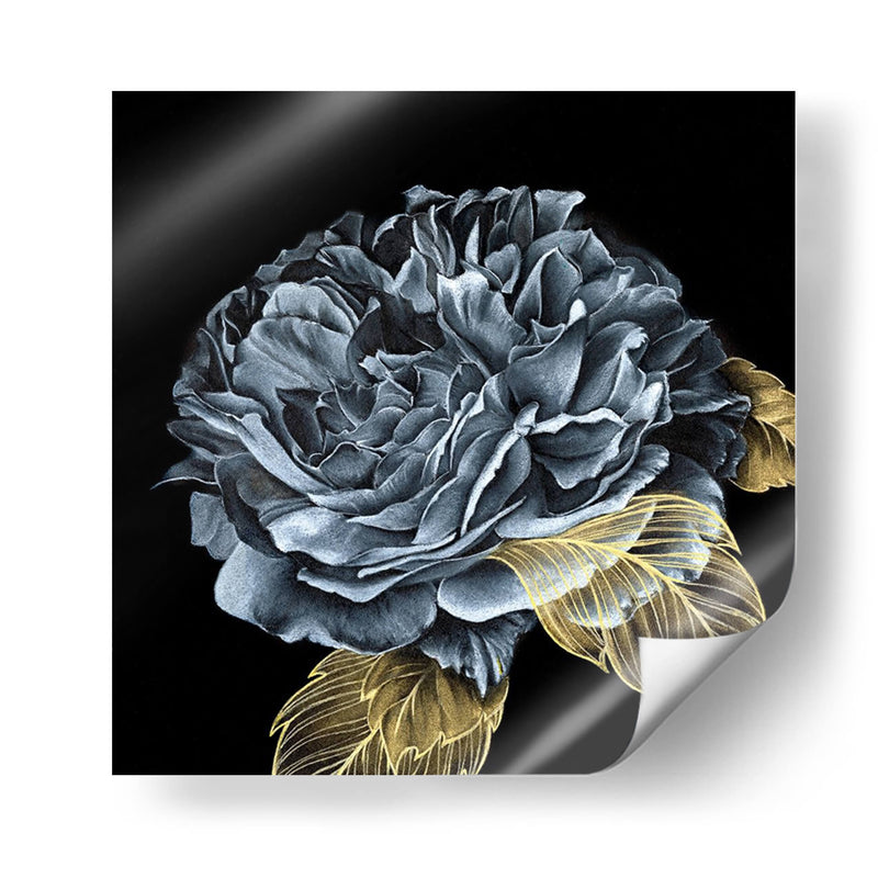 Rover Roses I - Georges Cuvier | Cuadro decorativo de Canvas Lab