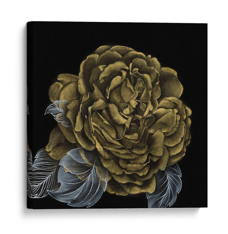 Rover Roses Ii - Georges Cuvier | Cuadro decorativo de Canvas Lab