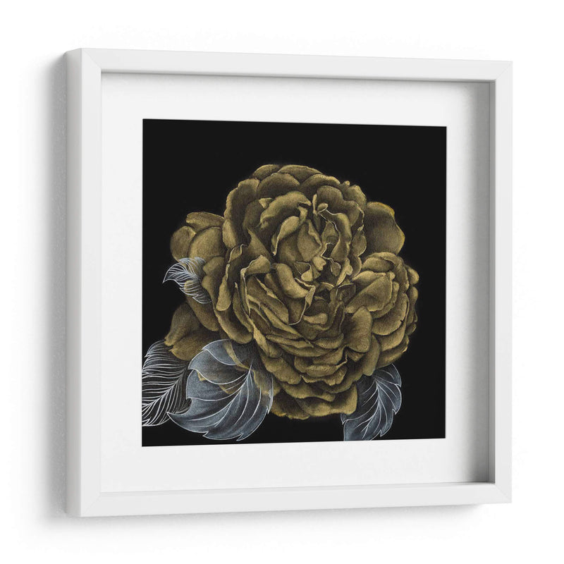 Rover Roses Ii - Georges Cuvier | Cuadro decorativo de Canvas Lab