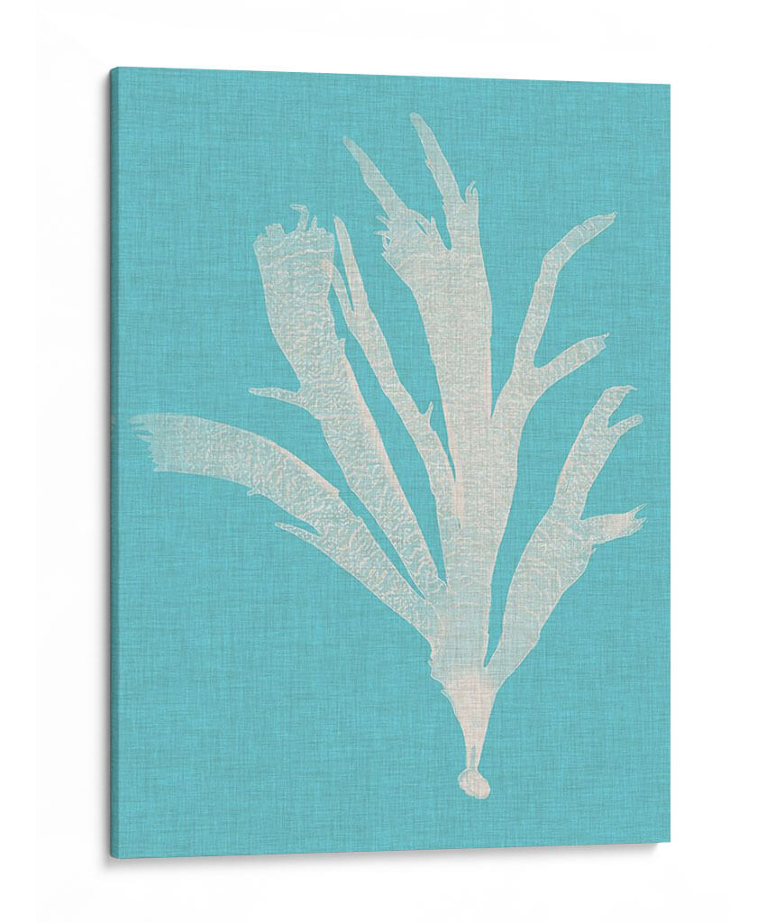 Seaweed Pop Iv - Vision Studio | Cuadro decorativo de Canvas Lab
