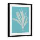 Seaweed Pop Iv - Vision Studio | Cuadro decorativo de Canvas Lab