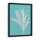 Seaweed Pop Iv - Vision Studio | Cuadro decorativo de Canvas Lab