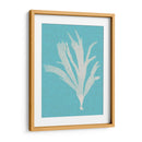 Seaweed Pop Iv - Vision Studio | Cuadro decorativo de Canvas Lab