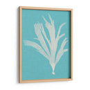 Seaweed Pop Iv - Vision Studio | Cuadro decorativo de Canvas Lab