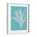 Seaweed Pop Iv - Vision Studio | Cuadro decorativo de Canvas Lab