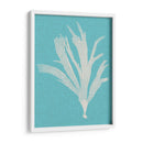 Seaweed Pop Iv - Vision Studio | Cuadro decorativo de Canvas Lab